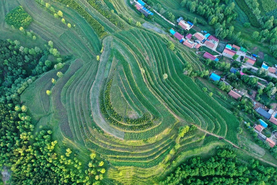 生態(tài)系統(tǒng)健康和管理——加強(qiáng)生態(tài)技術(shù)和工程管理，促進(jìn)生態(tài)系統(tǒng)健康發(fā)展